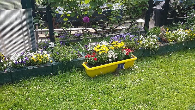 "Danke nochmals für den schönen Blumenkasten, der jetzt in unserem Garten in Unterföhring steht. Ich werde den Bienentag mit Freunden feiern!"