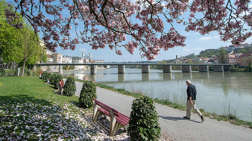 Frühlingsgefühle am Ufer des Inn in Passau.