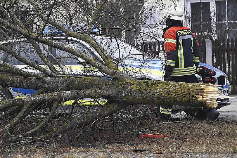 Der Aufprall des Unfallwagens war derart heftig, dass sich das Wrack der kompletten Auspuffanlage und zahlreicher anderer Fahrzeugteile entledigte und der Baum entwurzelt wurde.