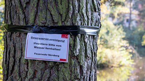 Nun wurden Warnschilder angebracht, Hunde sollen nicht mehr ins Wasser gelassen werden.