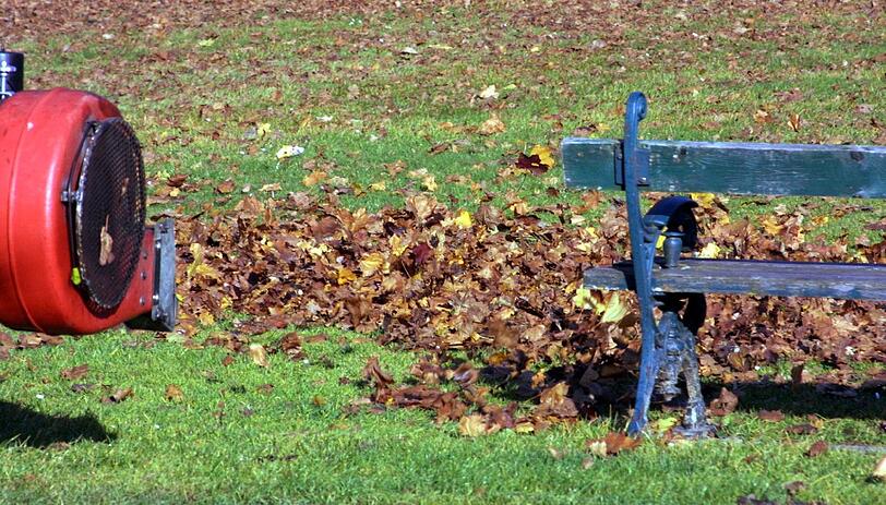 Laubsauger? Von wegen. In Berg am Laim blieb das Laub liegen.