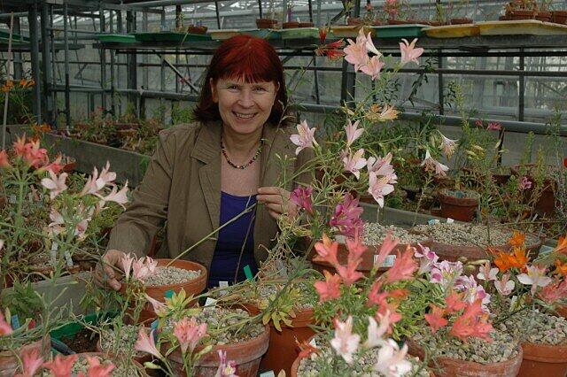 Ehrentraud Bayer, stellvertretende Direktorin des Botanischen Gartens, spricht auf dem Kongress zum Thema: "Drüsenhaare, Harzgänge, Ölbehälter - die Flakons der Pflanzen".