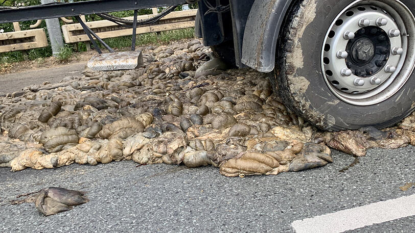 Die Schlsachtabfälle mussten von der Straße gebracht werden.