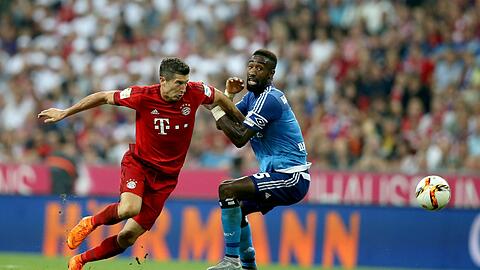 Das erste Duell der Rückrunde: Der FC Bayern mit Robert Lewandowski gegen den HSV mit Johan Djourou.