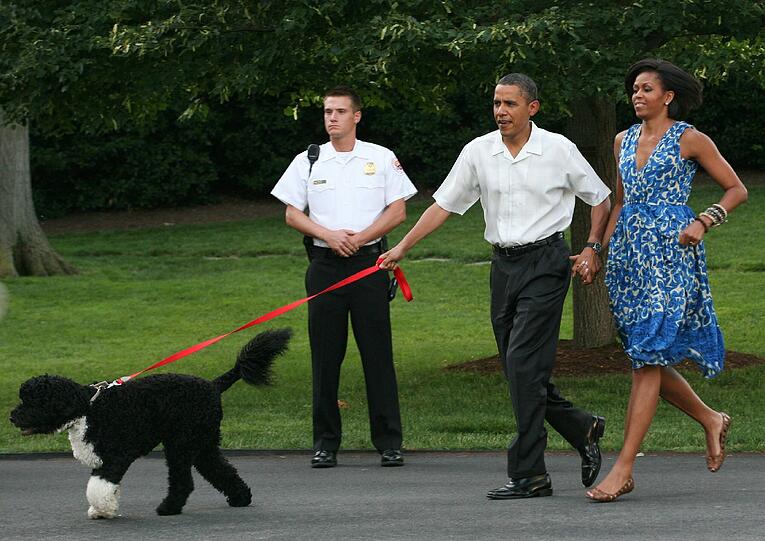 Barack Obama mit seinem "First Dog".
