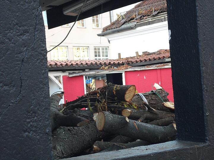 ... hier liegen noch ein paar abgesägte Stämme im Innenhof...
