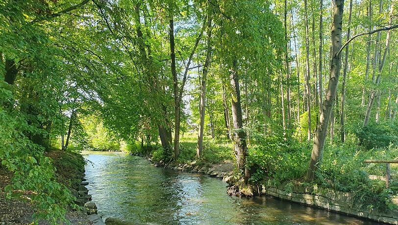 Steht man am Ufer der Würm im Park am ehemaligen Allacher Sommerbad, fühlt man sich wie in einem verwunschenen Wald. Steht man am Ufer der Würm im Park am ehemaligen Allacher Sommerbad, fühlt man sich wie in einem verwunschenen Wald.