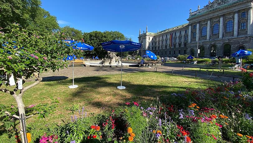 Die Drogen- und Trinkerszene ist verschwunden. Im Alten Botanischen Garten nahe dem Hauptbahnhof fallen diesen Sommer vor allem die Schmuckbeete ins Auge. Die Drogen- und Trinkerszene ist verschwunden. Im Alten Botanischen Garten nahe dem Hauptbahnhof fallen diesen Sommer vor allem die Schmuckbeete ins Auge.