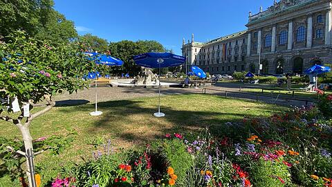 Die Drogen- und Trinkerszene ist verschwunden. Im Alten Botanischen Garten nahe dem Hauptbahnhof fallen diesen Sommer vor allem die Schmuckbeete ins Auge.