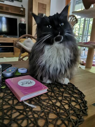 Mia
