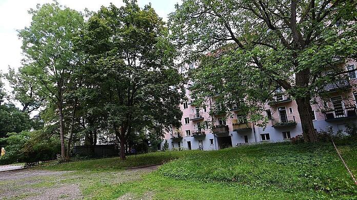 Hinter hohen Bäumen: Die Häuser in der Mauerkircherstraße 17 und 19 stehen nun unter Denkmalschutz.