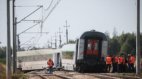 Beim Zusammenprall eines Lasters mit einem Zug in Polen ist eine Frau gestorben.