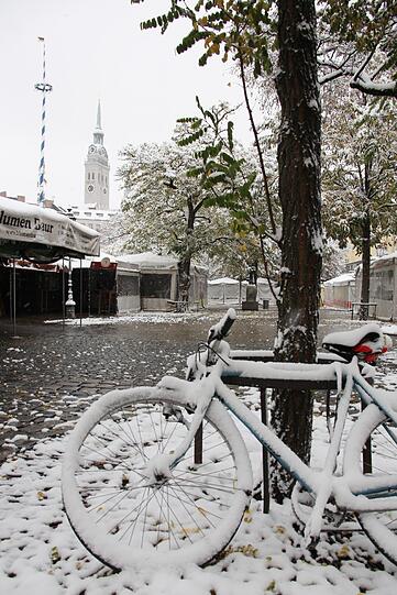 Wintereinbruch und Frost: München und Bayern: Am Freitag Schnee? - München - Abendzeitung München