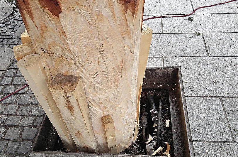 ...dann ist er drin, der Baum.