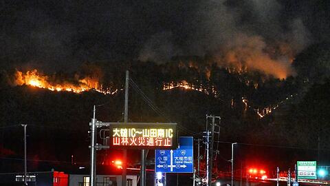 Bei den Waldbr&auml;nden sind bislang keine Personen ums Leben gekommen.