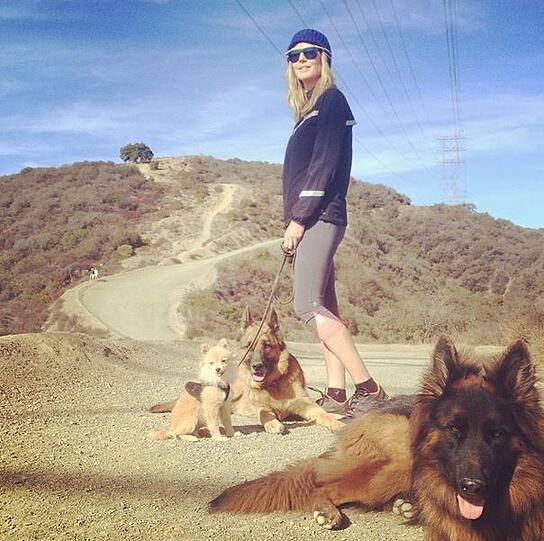Hunde sind gesund: "Wunderschöne Wanderung an einem Sonntag", kommentiert Entertainerin Heidi Klum (41) das Foto von sich im Sportdress mit ihren drei Hunden.