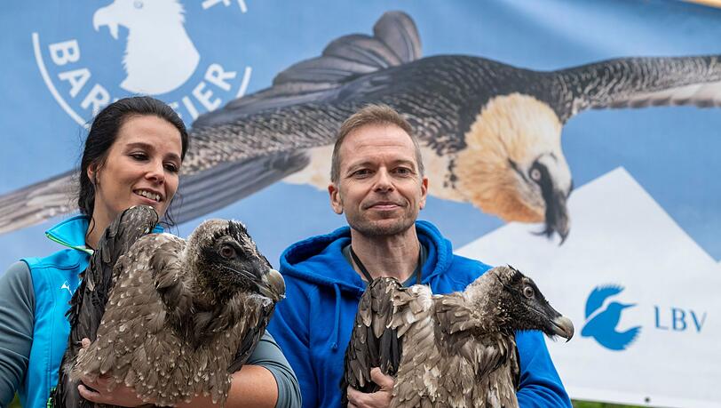 Großer Auftritt für große Vögel: Generl und Luisa.