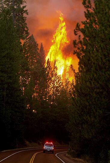 Die Waldbrände in der kalifornischen Sierra Nevada haben den Yosemite-Nationalpark erreicht. Die Bilder der Feuersbrunst!