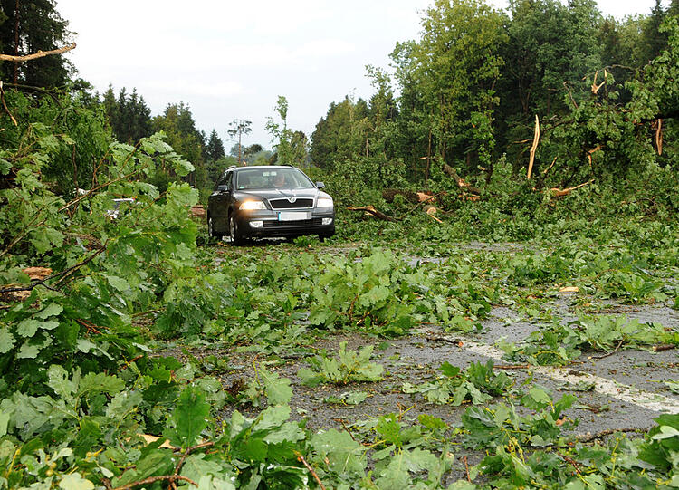 Hagel, Regen, umgeknickte Bäume, vollgelaufene Keller - Heftige Unwetter sind am Mittwochabend über Bayern gezogen. Die Bilder.