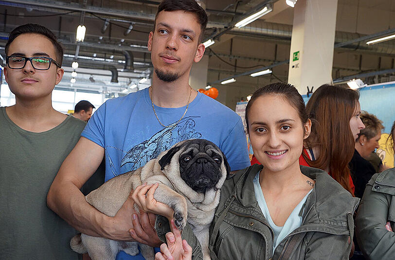Artudo (16), Panagiatis (27) und Angela (27) mit Mops König Artusch: "Unser Mops ist sehr liebevoll. Einzigartig an ihm ist, dass er gerne Streit schlichtet zwischen anderen Hunden oder auch zwischen Kindern. Wenn da Hunde sich ankläffen und streitet, dann stellt er sich dazwischen. Kinder muntert er gerne auf. Außerdem beschwert er sich, wenn wir die Musik zu laut anhaben."