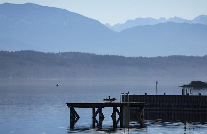 Starnberger See. Foto: dpa