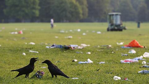 Zwei Krähen mustern eine Chipstüte &ndash; eine von vielen Hinterlassenschaften sorgloser Party-Parkbesucher. Im Hintergrund: das Gefährt eines Müllsammler-Teams.