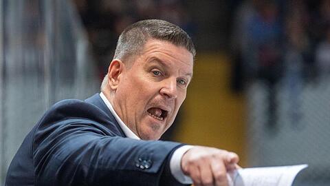 Trainer Tom Pokel von den Straubing Tigers. Foto: Lino Mirgeler/dpa/Archivbild