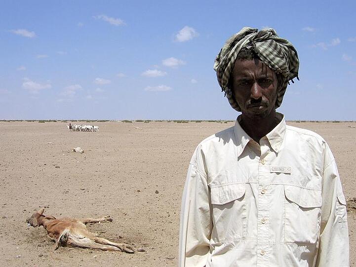 Hungersnot in Kenia: Ein junges Kamel liegt tot im Sand. Es wurde kurz nach der Geburt getötet, weil das Muttertier wegen der anhaltenden Dürre zu schwach war, es zu ernähren.