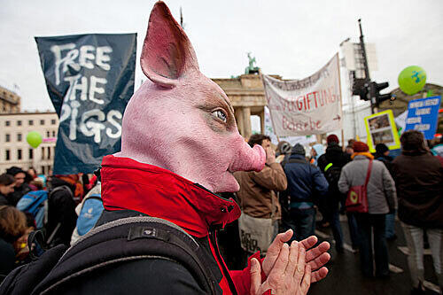 Zehntausende demonstrierten in Berlin gegen Massentierhaltung und Gentechnik.