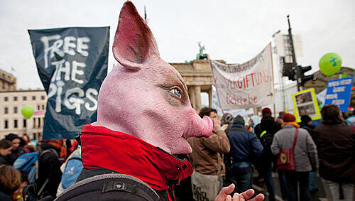 Zehntausende demonstrierten in Berlin gegen Massentierhaltung und Gentechnik. Zehntausende demonstrierten in Berlin gegen Massentierhaltung und Gentechnik.