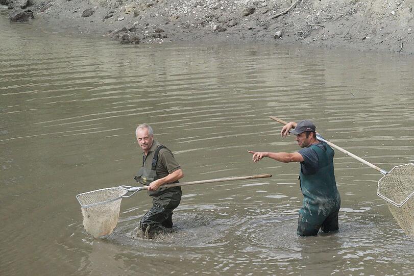 Bilder vom Badesee: Wo ist die Alligator-Schildkröte vom Oggenrieder Weiher?