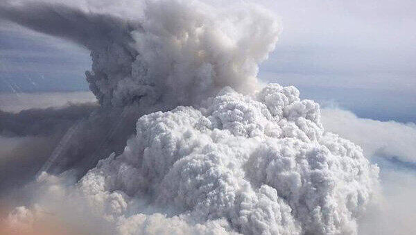 In Kanada toben heftige Waldbrände. In Alberta ist eine ganze Stadt von den Flammen bedroht. In Kanada toben heftige Waldbrände. In Alberta ist eine ganze Stadt von den Flammen bedroht.