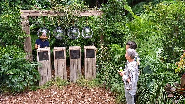 Gil Ofarim in seiner finalen Dschungelpr&uuml;fung.