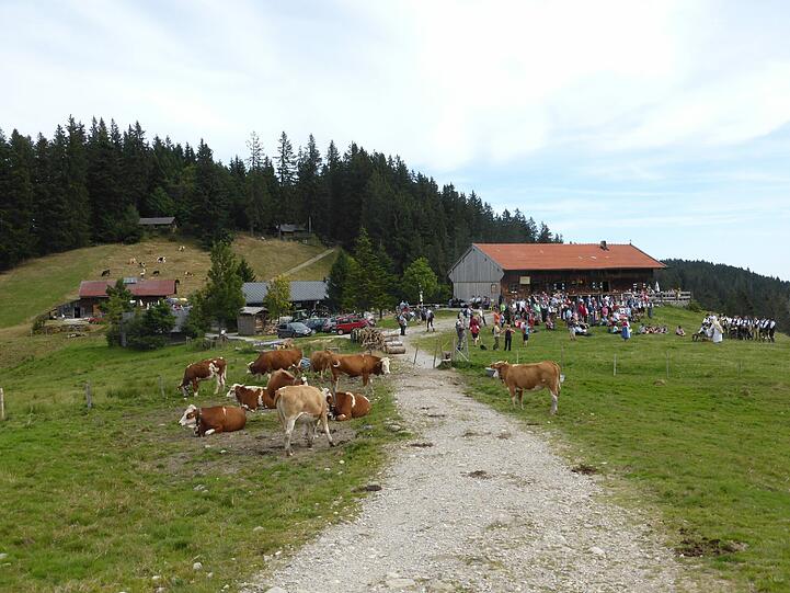 Die Leser freuten sich bei der zweiten AZ-Wanderung über das sonnige Wetter.