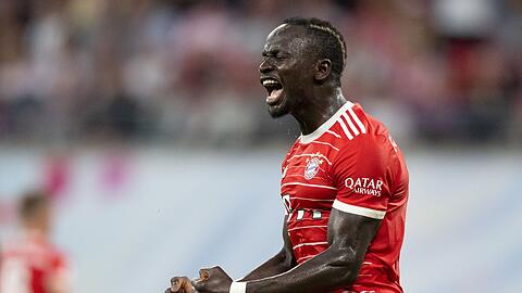 Neuzugang Sadio Mané traf aus kurzer Distanz zum zwischenzeitlichen 2:0.
