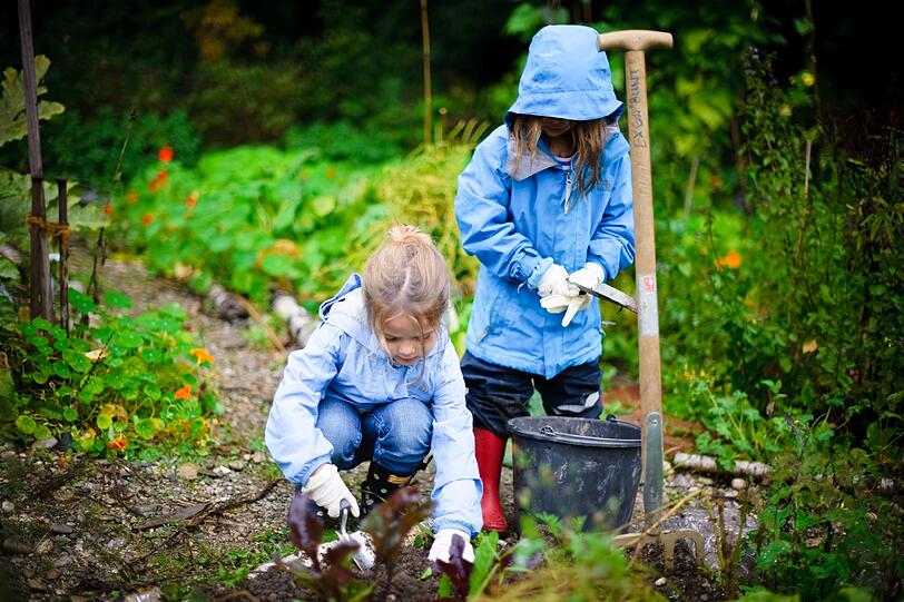 Kinder setzen Pflänzchen ein, um im Herbst ernten zu können.