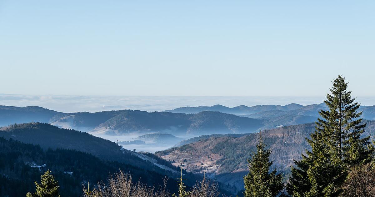 Wetter-wird-ein-wenig-milder-Sonniger-Sonntag