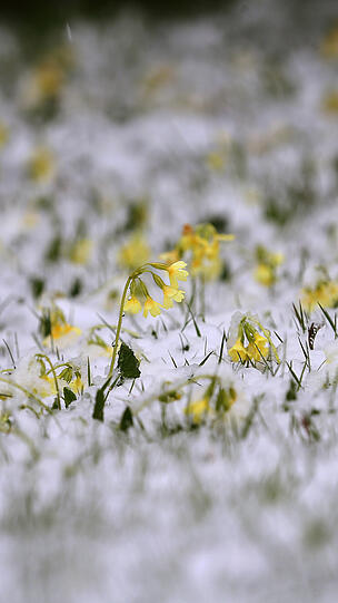 Bereits am Montag hatte es in Franken geschneit.