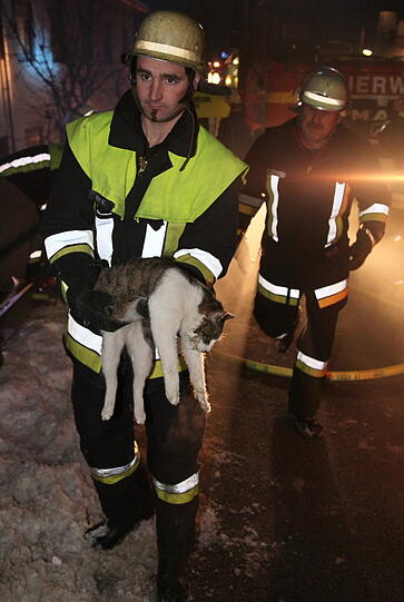 Brand in Gars im Landkreis Mühldorf am Inn: Kater "Samy" erleidet eine Rauchvergiftung. Die Feuerwehr rettet das leblose Tier aus einer brennenden Wohnung. Jetzt kümmert sich der Tierarzt um "Samy". Brand in Gars im Landkreis Mühldorf am Inn: Kater "Samy" erleidet eine Rauchvergiftung. Die Feuerwehr rettet das leblose Tier aus einer brennenden Wohnung. Jetzt kümmert sich der Tierarzt um "Samy".