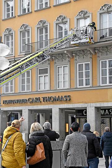 Mit der Drehleiter erreicht die Feuerwehr das verängstigte Tier.