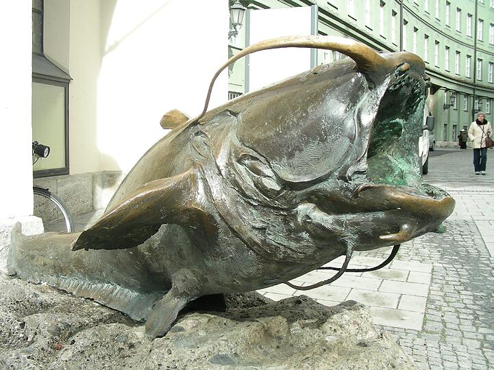 Ebenfalls wunderliche Fähigkeiten werden dem "Waller" zugeschrieben. Wer das Tier bei den Barteln berührt, der wird ein guter Angler - so heißt es.