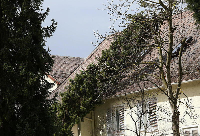 Bilder aus Bayern.