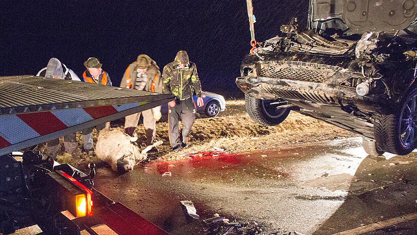 Nichts für schwache Nerven. Ein Mercedes raste mitten in die Herde &ndash; die Bilder vom Bergungseinsatz.