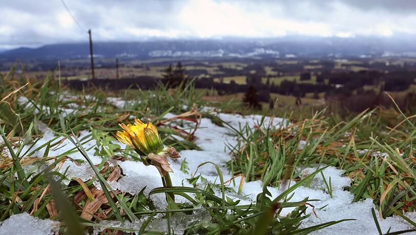 Achterbahnfahrt vom Frühsommer in den Spätwinter