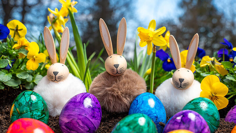 Wussten Sie, dass der Osterhase nicht &uuml;berall die Eier bringt? Oder das es H&uuml;hner gibt, die bunte Eier legen?
