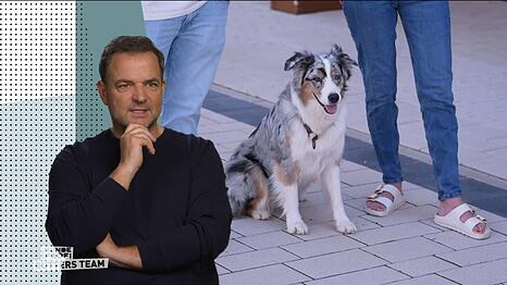 Hundeprofi Martin R&uuml;tter ist beeindruckt von dem Wandel, den H&uuml;ndin Nala durchgemacht hat.