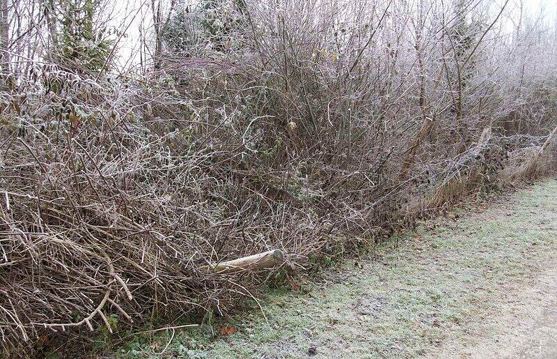 Die Einzäunung an der Langwieder Seenplatte verfällt.