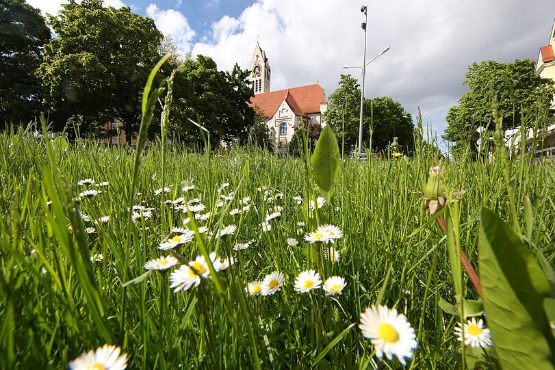 Grün an der Erlöserkirche - das Weitwinkelobjektiv macht's möglich.