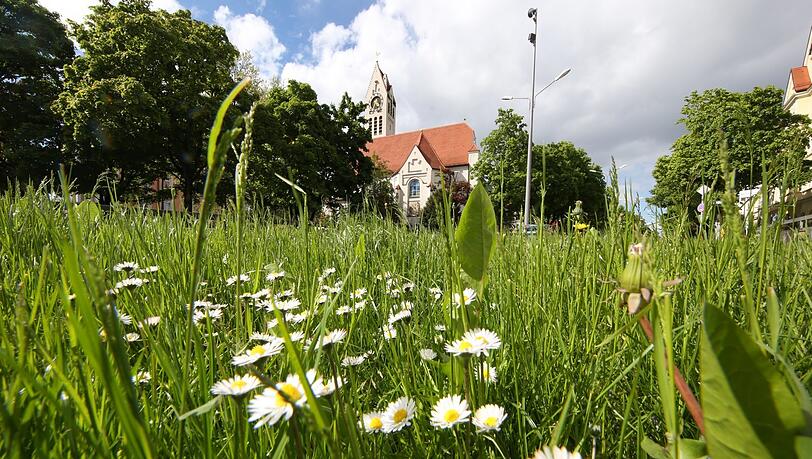 Grün an der Erlöserkirche - das Weitwinkelobjektiv macht's möglich. Grün an der Erlöserkirche - das Weitwinkelobjektiv macht's möglich.