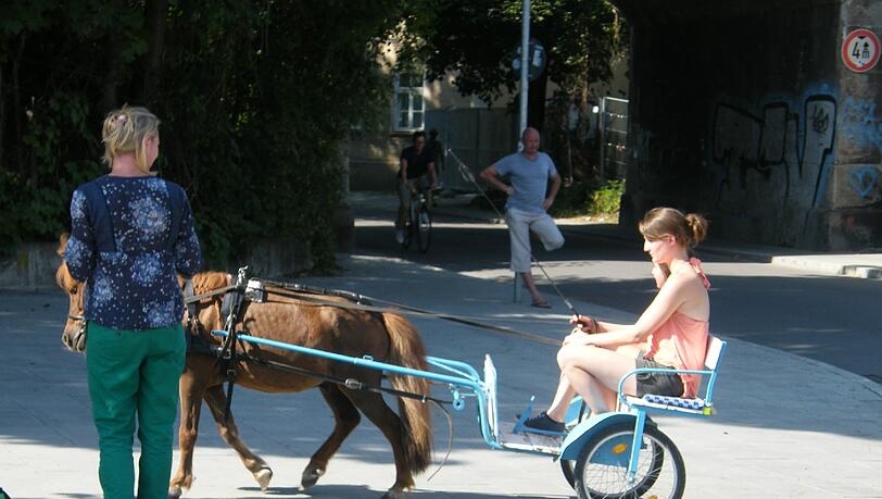 Auf dem Hans-Mielich-Fest haben die Kleinpferde des Reitclubs Isartal ihre Zugkraft demonstriert.